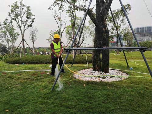 園林養(yǎng)護 (5)