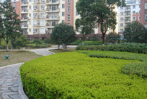 綠化園林養(yǎng)護的工作內(nèi)容有哪些？