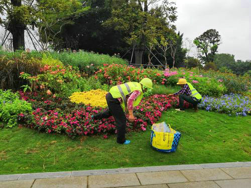 在園林綠化養(yǎng)護(hù)過程中哪些地方容易被忽略?