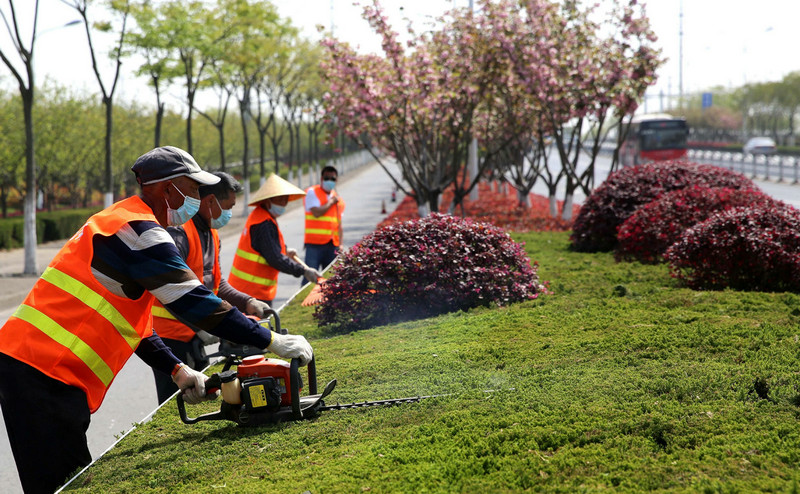 園林綠化養(yǎng)護(hù)的基本工作都有什么要求?