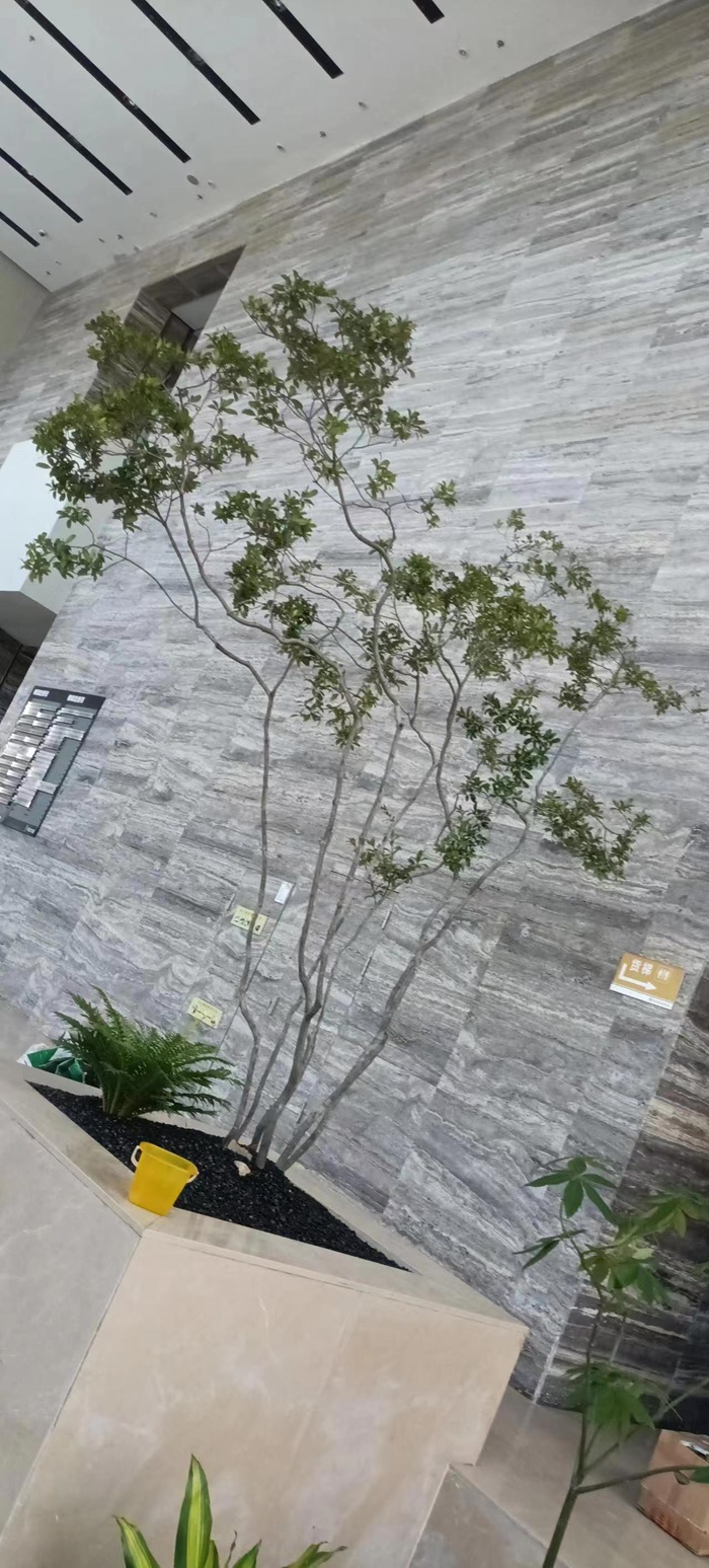 廠區(qū)植物種植